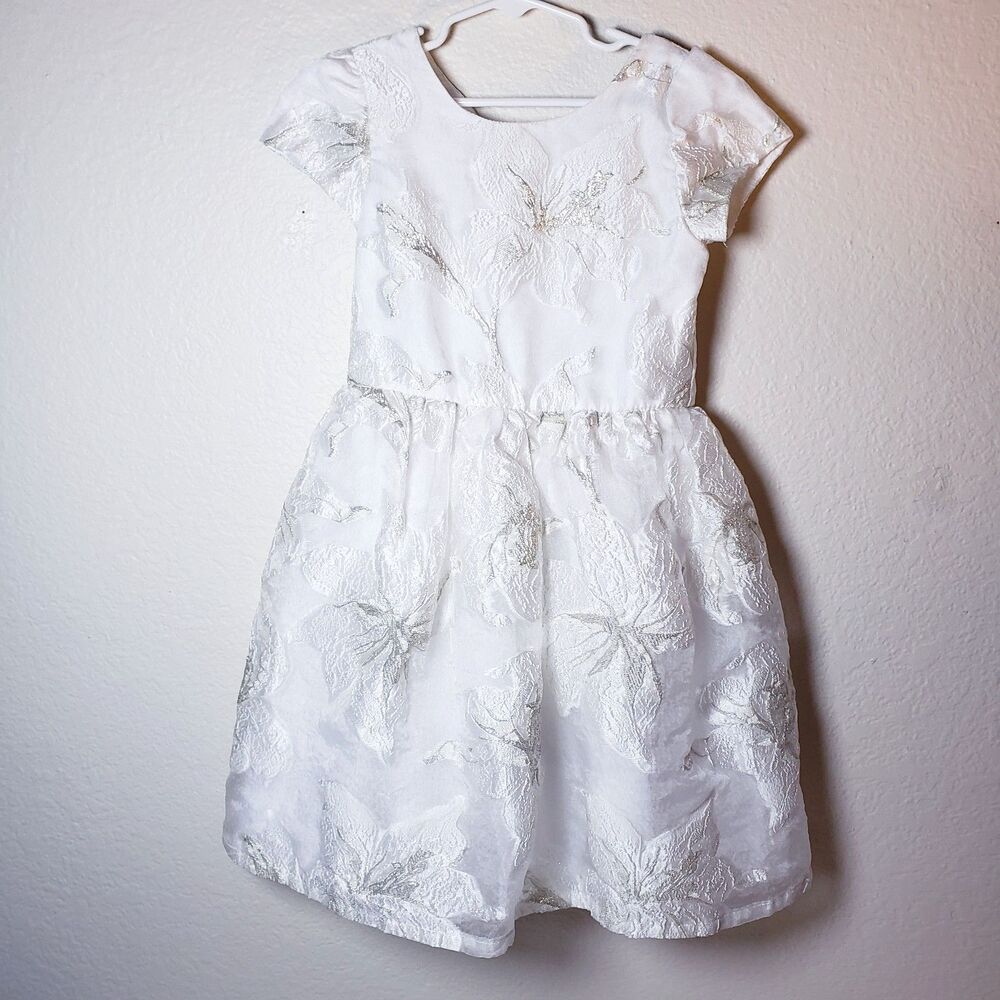 White and Silver Floral Laced Embroidered Princess Dress